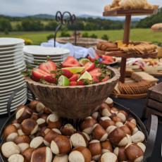 pretzel bites appetizer